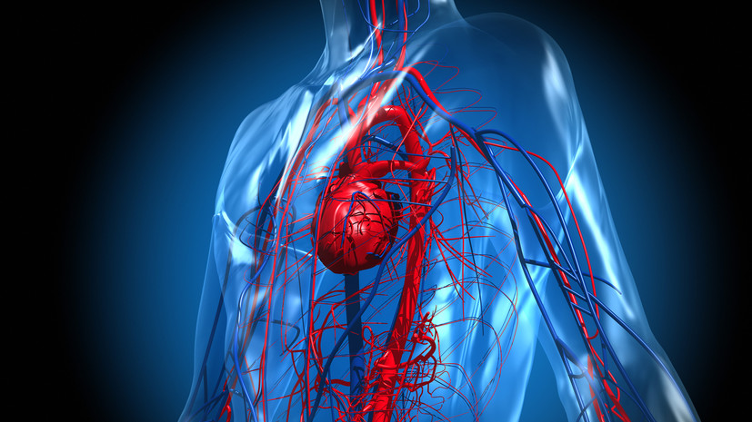 Кардиолог Богаевская связала рост числа сердечно-сосудистых заболеваний с гиподинамией