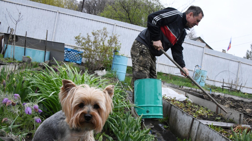 Агроном Воробьёв посоветовал садоводам заняться посадкой растений в праздники
