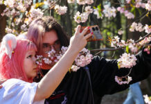 Мосбилет и Департамент культуры Москвы приглашают на праздничные события Цветение сакуры в Бирюлевском дендропарке