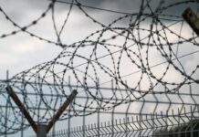 Признания маньяка из Санкт-Петербурга: Дмитро Вороненко priznaniya manyaka iz sanktpeterburga dmitro voronenko-urbandigest-ru-174524840500-0