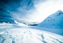 Росконгресс и ЯНАО открывают новые перспективы для человеческого капитала roskongress i yanao otkryvayut novye perspektivy dlya chelovecheskogo kapitala-urbandigest-ru-174583601400-0