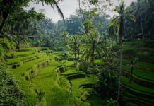 rossiyanka otkryvaet bali glyanecz i realnost rajskogo ostrova-urbandigest-ru-174477888800-0