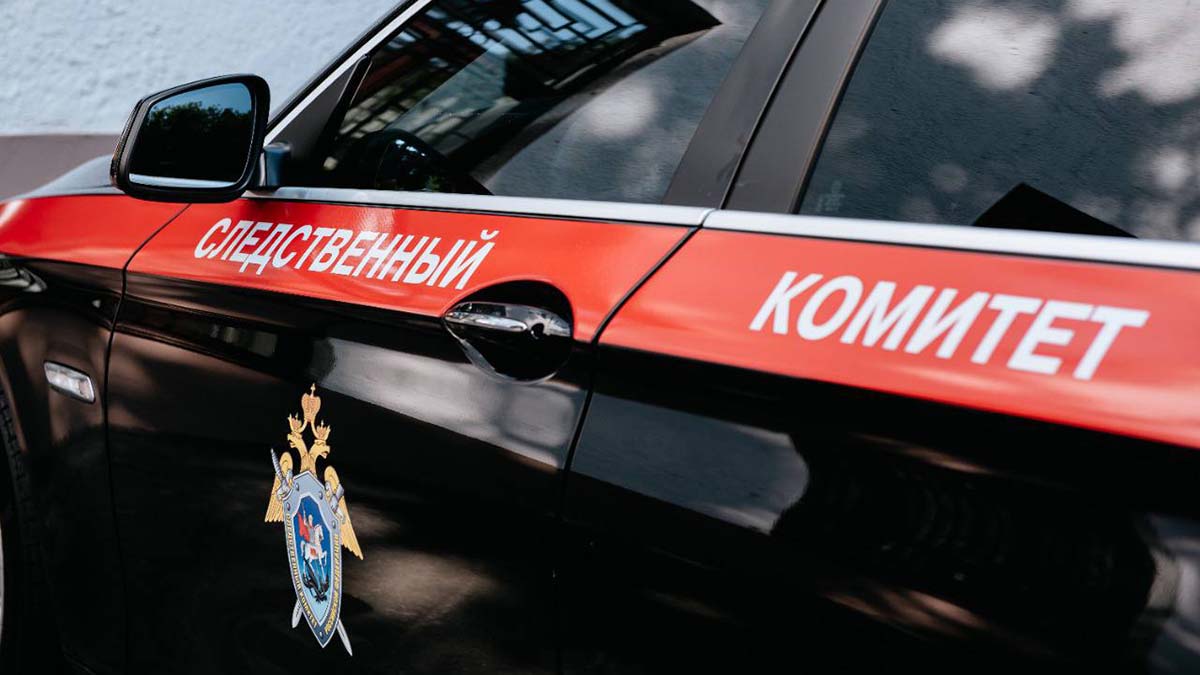 Уголовное дело возбудили после нападения школьника на учительницу в Люберцах
