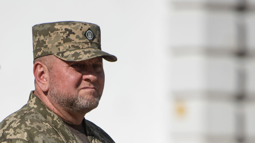 Экс-депутат Рады Берёза: спецназ СБУ пытался задержать Залужного в 2023 году