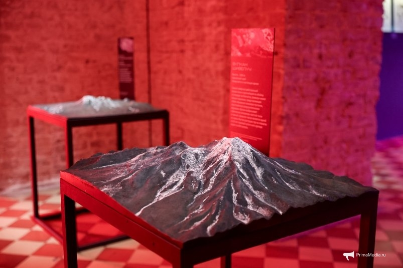 Выставка &quotВулканы. Дыхание планеты&quot открылась в Музее Арсеньева Илья Аверьянов, ИА PrimaMedia