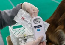 В Приморье вводится обязательное чипирование питомцев и новые правила для владельцев v primore vvoditsya obyazatelnoe chipirovanie pitomczev i novye pravila dlya vladelczev-urbandigest-ru-174559025700-0