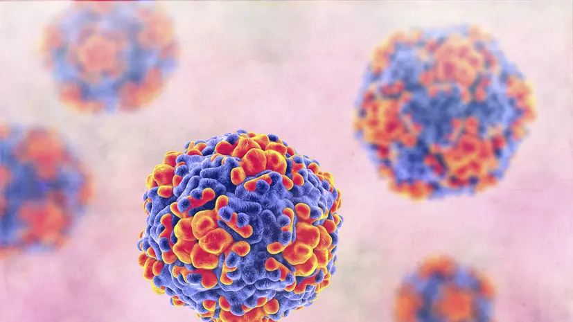 Врач Кондрахин рассказал, как защититься от «летних» болезней