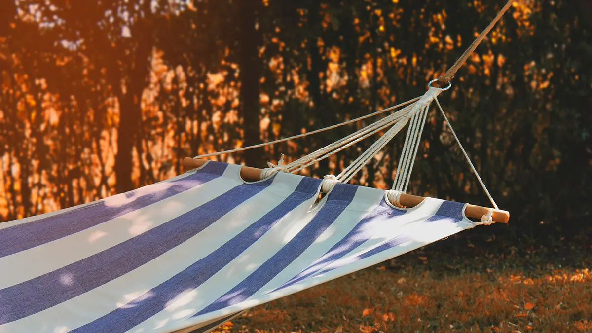 Жителей РФ ждут длинные выходные в связи с празднованием Дня России в июне