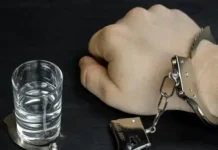 dmitrij boglaev zaderzhan raskryta shema hishhenij u bojczov svo v sheremetevo lu mvd-urbandigest-ru-174737982800-0