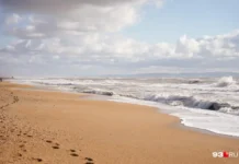 Дмитрий Чернышенко и Владимир Путин поддержали летний сезон в Анапе и Темрюкском районе dmitrij chernyshenko i vladimir putin podderzhali letnij sezon v anape i temryukskom rajone-urbandigest-ru-174795123100-0