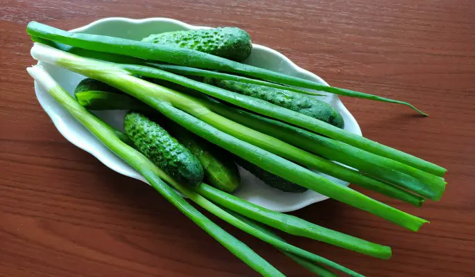 Связь между вегетарианством и депрессией: когда отказ от мяса совсем не радует 