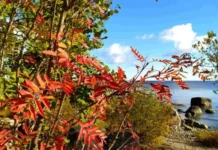 История Дня Иоанна Богослова и его значение для верующих istoriya dnya ioanna bogoslova i ego znachenie dlya veruyushhih-urbandigest-ru-174789237500-0