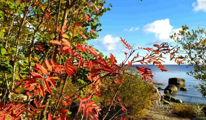 День Иоанна Богослова: народные приметы в праздник 9 октября