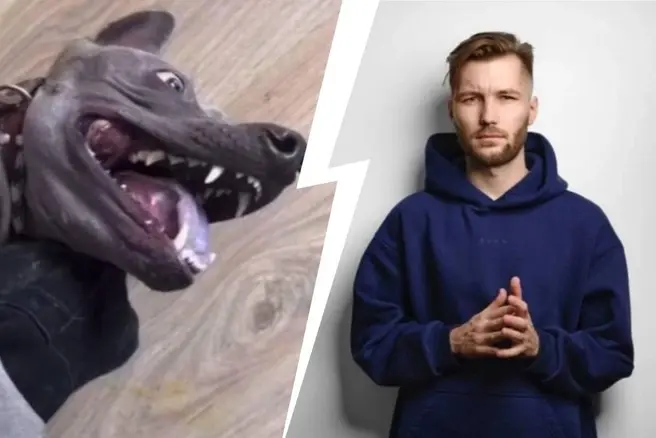 По словам зоозащитников, мужчина на протяжении нескольких дней выкладывал видео, где пытается усмирить собаку породы тайский риджбек | Источник: читатель MSK.RU