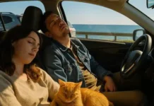 Министр транспорта уверен, что путь к Крымскому мосту стал проще и комфортнее ministr transporta uveren chto put k krymskomu mostu stal proshhe i komfortnee-urbandigest-ru-174832577200-0