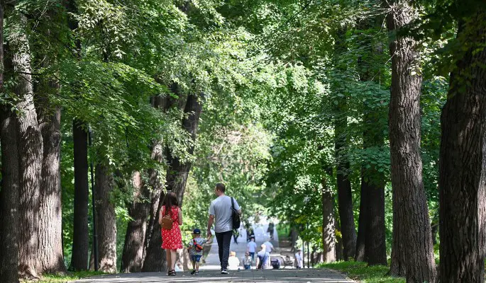 Столичные парки готовят насыщенную программу для москвичей на 3 и 4 августа