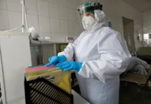 Роспотребнадзор озвучил прогноз пика активности лихорадки Западного Нила в 2025 году rospotrebnadzor ozvuchil prognoz pika aktivnosti lihoradki zapadnogo nila v 2025 godu-urbandigest-ru-174705532200-0