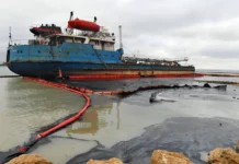 Росприроднадзор и Светлана Радионова добиваются компенсации за экологию Анапы и Темрюка rosprirodnadzor i svetlana radionova dobivayutsya kompensaczii za ekologiyu anapy i temryuka-urbandigest-ru-174859676200-0