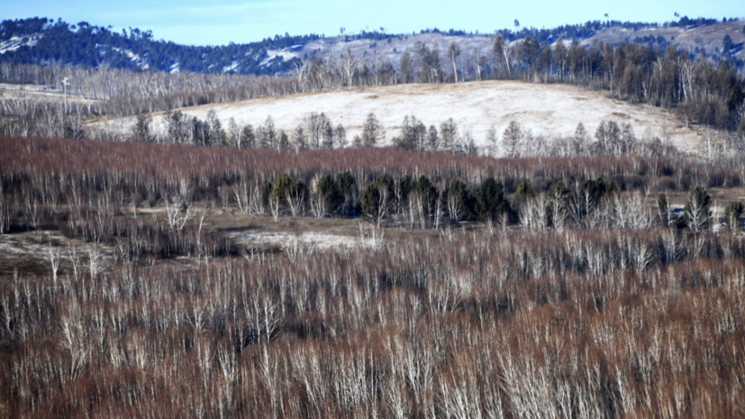 В Забайкалье нашли тела трёх пропавших пожарных