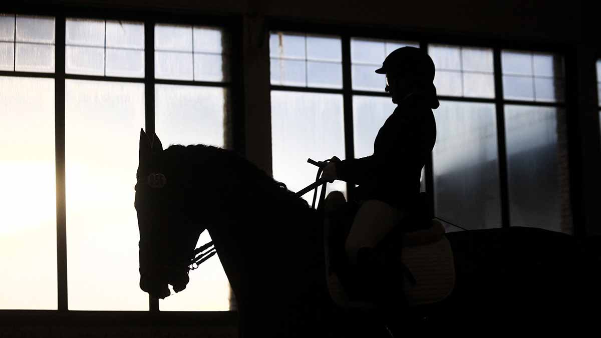 Трое учениц избили лошадь в спортивной школе в Нижнем Новгороде