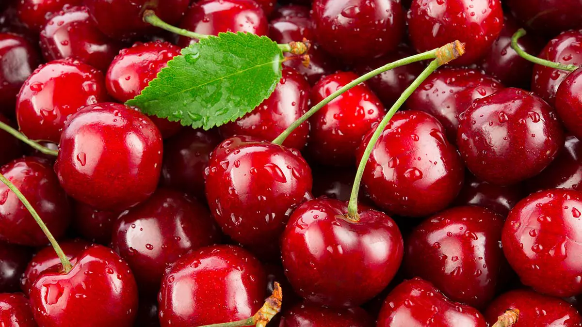 Экономист Ильяшенко: Летом цена на черешню поднимется до 500 рублей за килограмм