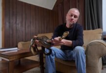 tim frid i razrabotali universalnoe protivoyadie ot zmej-urbandigest-ru-174625775000-0