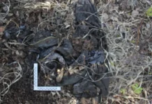 У села Новый Энхалук обнаружены следы пропавшего ученого спустя 16 лет u sela novyj enhaluk obnaruzheny sledy propavshego uchenogo spustya 16 let-urbandigest-ru-174764151800-0