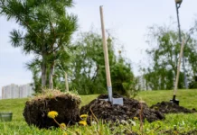 Валентина Матвиенко и Дмитрий Патрушев подвели итоги Всероссийской недели субботников valentina matvienko i dmitrij patrushev podveli itogi vserossijskoj nedeli subbotnikov-urbandigest-ru-174799991700-0