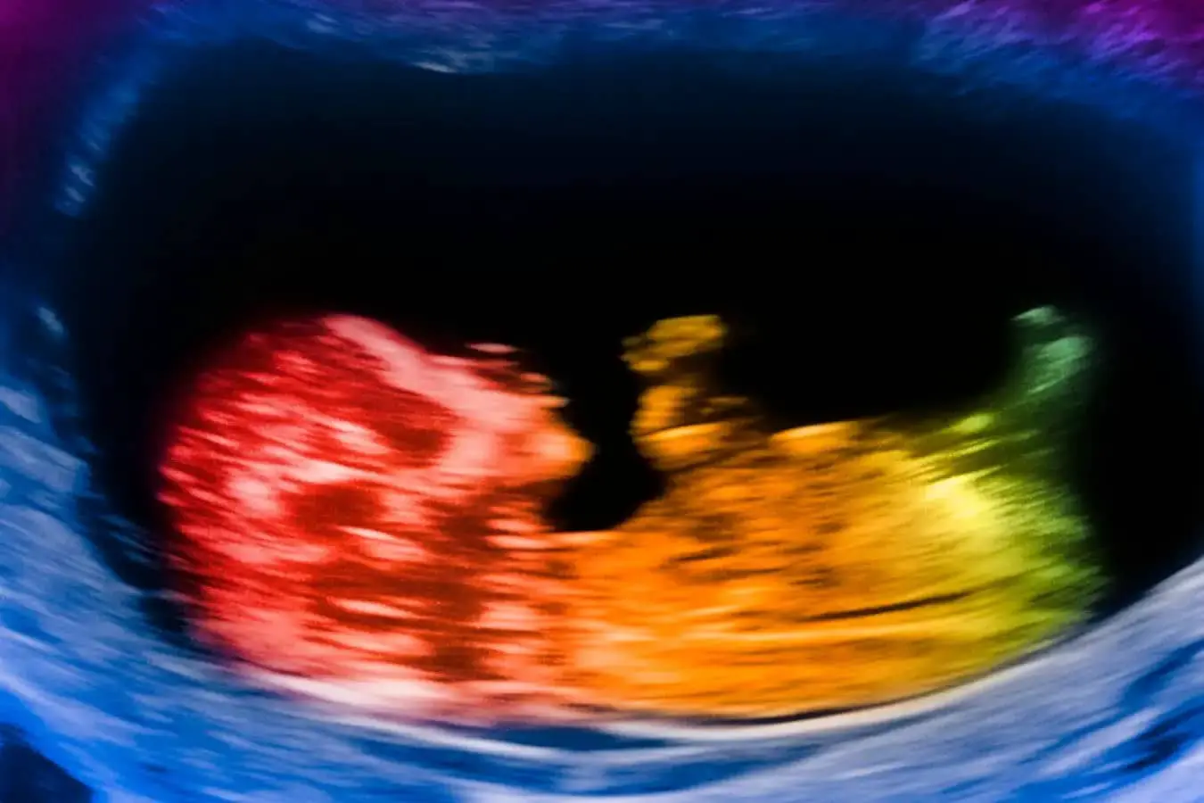 Алекс Цомпанидис из Кембриджа объясняет влияние гормонов плаценты на мозг Homo sapiens-0