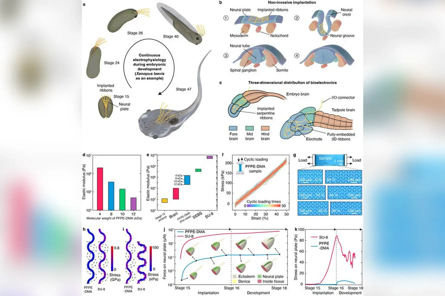 Цзя Лю и Гарвард открывают в Nature революцию в изучении мозга-0