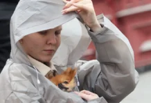 Метеоновости представили обновленный прогноз погоды на выходные в Москве meteonovosti predstavili obnovlennyj prognoz pogody na vyhodnye v moskve-urbandigest-ru-0