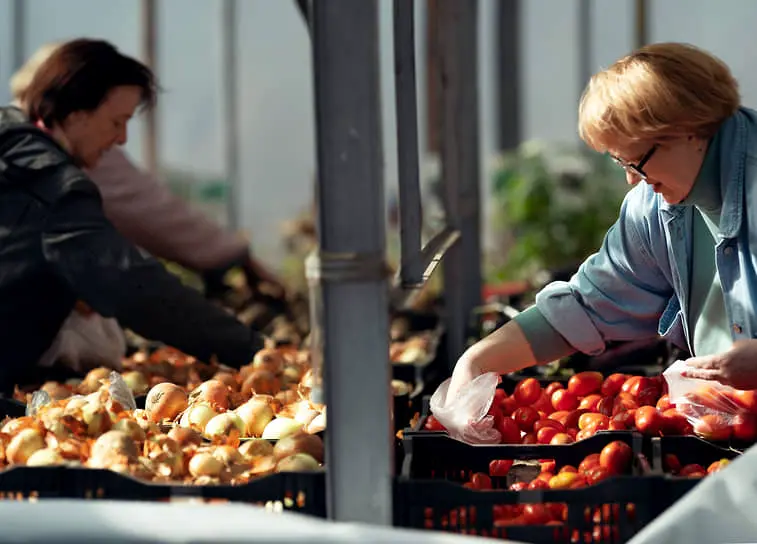 Оптимистичные тенденции летних цен на овощи и фрукты от NTech, Росстата и Минсельхоза-0