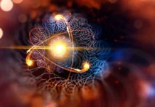 Сехам Эбрахим и команда из Университета Вирджинии раскрыли роль гемифусомы в клетках seham ebrahim i komanda iz universiteta virdzhinii raskryli rol gemifusomy v kletkah-urbandigest-ru-0