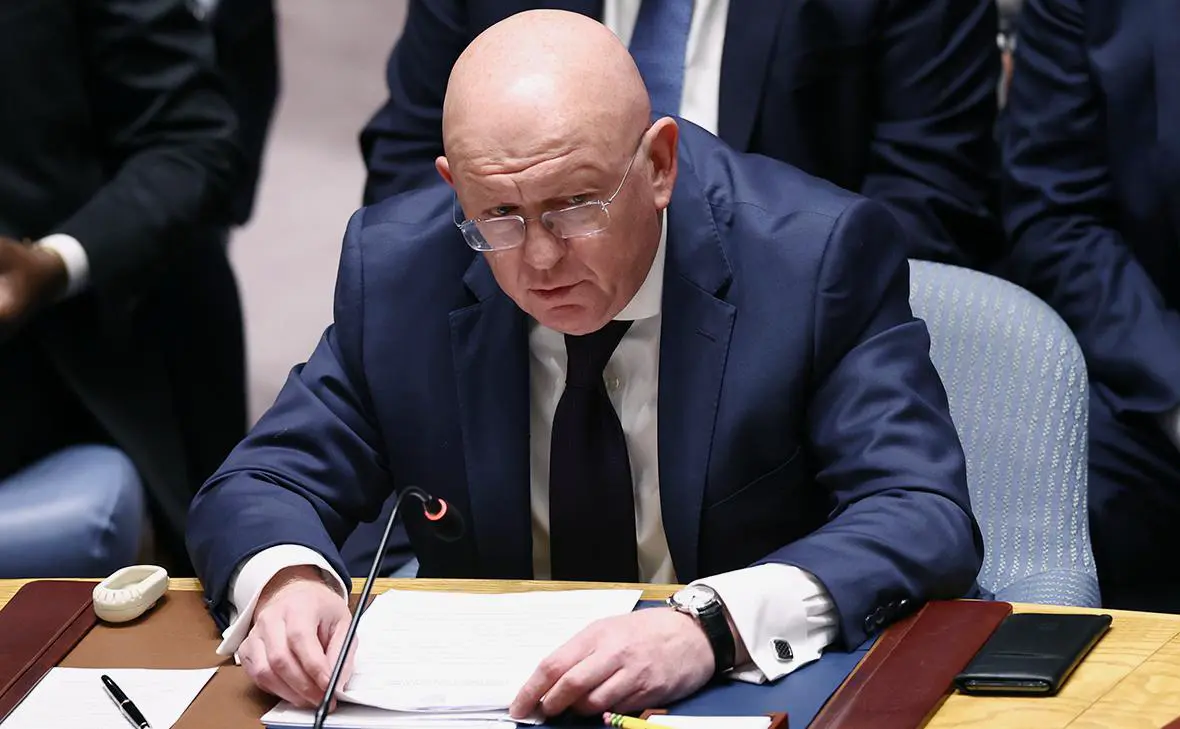 Василий Небензя (Валерий Шарифулин / РИА Новости)