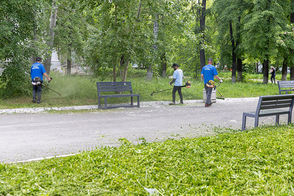 Алексей Вихарев и волонтеры преобразили зеленую зону горбольницы №23