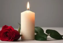 Дональд МакДональд о пути к успеху и вдохновении в Sydney Theatre Company donald makdonald o puti k uspehu i vdohnovenii v -urbandigest-ru-0