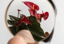 Кадрия Велес объясняет, как женская самореализация влияет на жизнь kadriya veles obyasnyaet kak zhenskaya samorealizacziya vliyaet na zhizn-urbandigest-ru-0