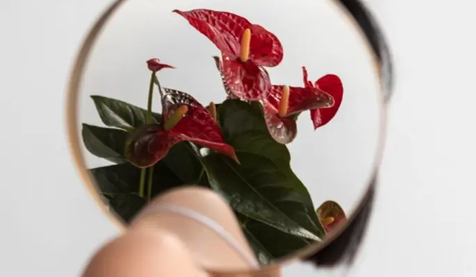 Женская самореализация: почему это так важно?