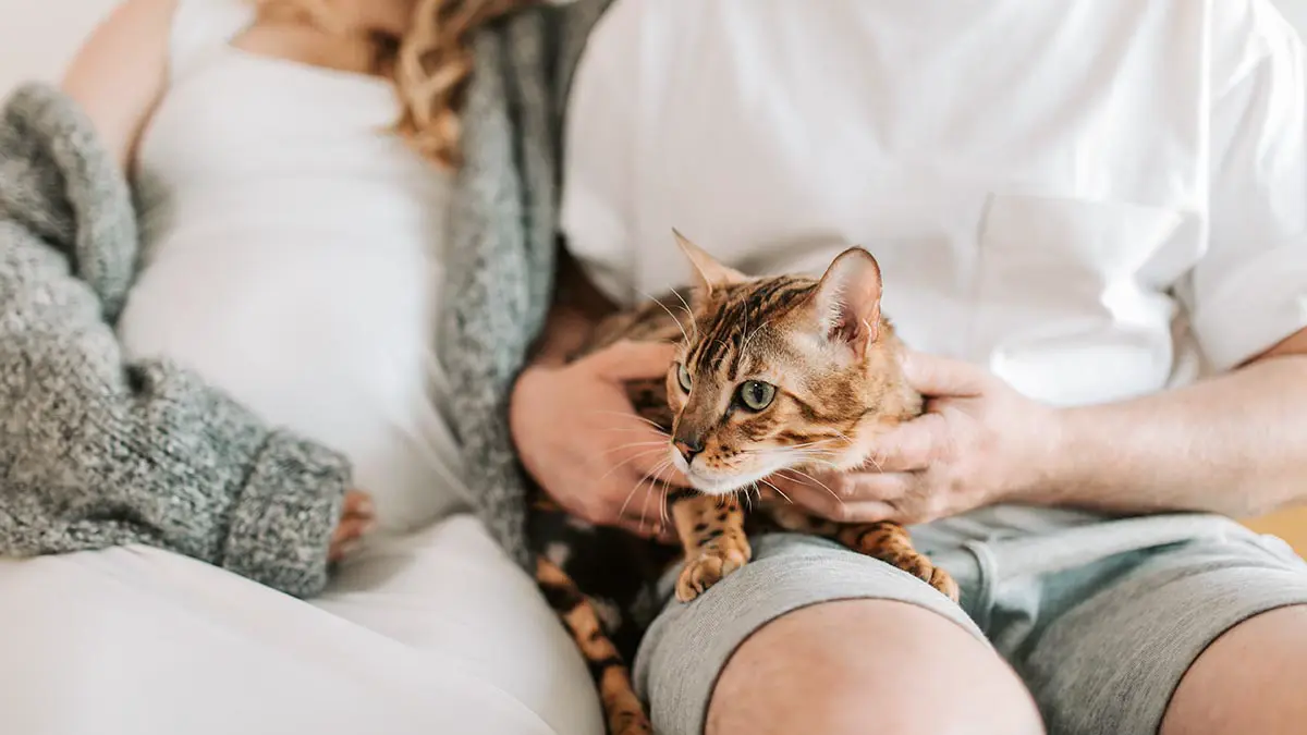 Можно ли целовать домашних питомцев