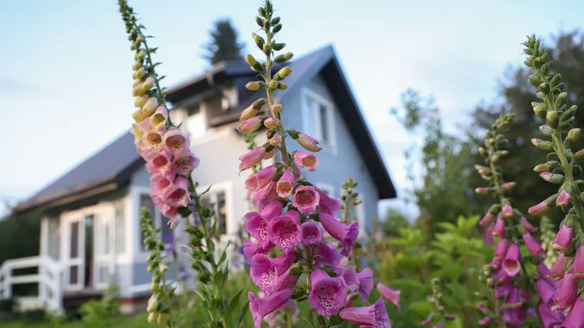 В Госдуме назвали условия, при которых возможна прописка на даче