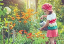 Никита Чаплин в Госдуме выступает за безопасность дачников в жару nikita chaplin v gosdume vystupaet za bezopasnost dachnikov v zharu-urbandigest-ru-0