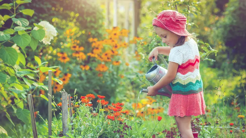 Дачникам напомнили, как вести себя на участках во время жары