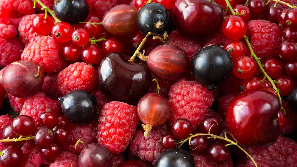 Как изменятся цены на ягоды в ближайшие несколько недель