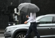 Светлана Бессараб из Госдумы призвала Москву смягчить подход к опоздавшим svetlana bessarab iz gosdumy prizvala moskvu smyagchit podhod k opozdavshim-urbandigest-ru-0