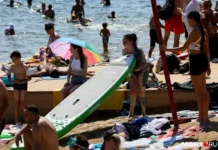 Владимир Клименко из МЭИ и РАН рассказал о грядущей волне жары в ЦФО vladimir klimenko iz mei i ran rasskazal o gryadushhej volne zhary v czfo-urbandigest-ru-0