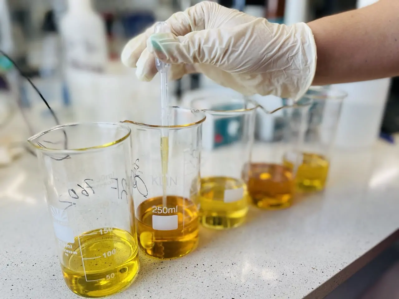 Анна Песковец рассказала о прорыве Губкинского университета в области присадок-0