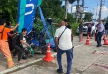 Дональд Трамп и Владимир Зеленский обсуждают судьбу Крыма и будущего Европы donald tramp i vladimir zelenskij obsuzhdayut sudbu kryma i budushhego evropy-urbandigest-ru-0