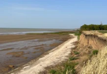 Иван Сазыкин представляет прорывное изучение подводных генов ЮФУ ivan sazykin predstavlyaet proryvnoe izuchenie podvodnyh genov yufu-urbandigest-ru-0