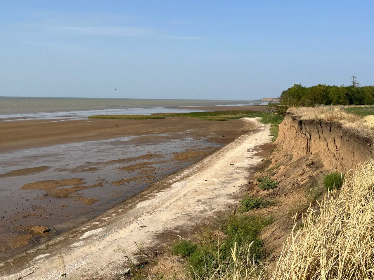 Иван Сазыкин представляет прорывное изучение подводных генов ЮФУ-0