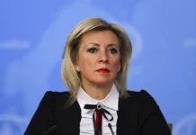 Позиция генсека НАТО Марка Рютте разжигает фашизацию Европы? pozicziya genseka nato marka ryutte razzhigaet fashizacziyu evropy-urbandigest-ru-0